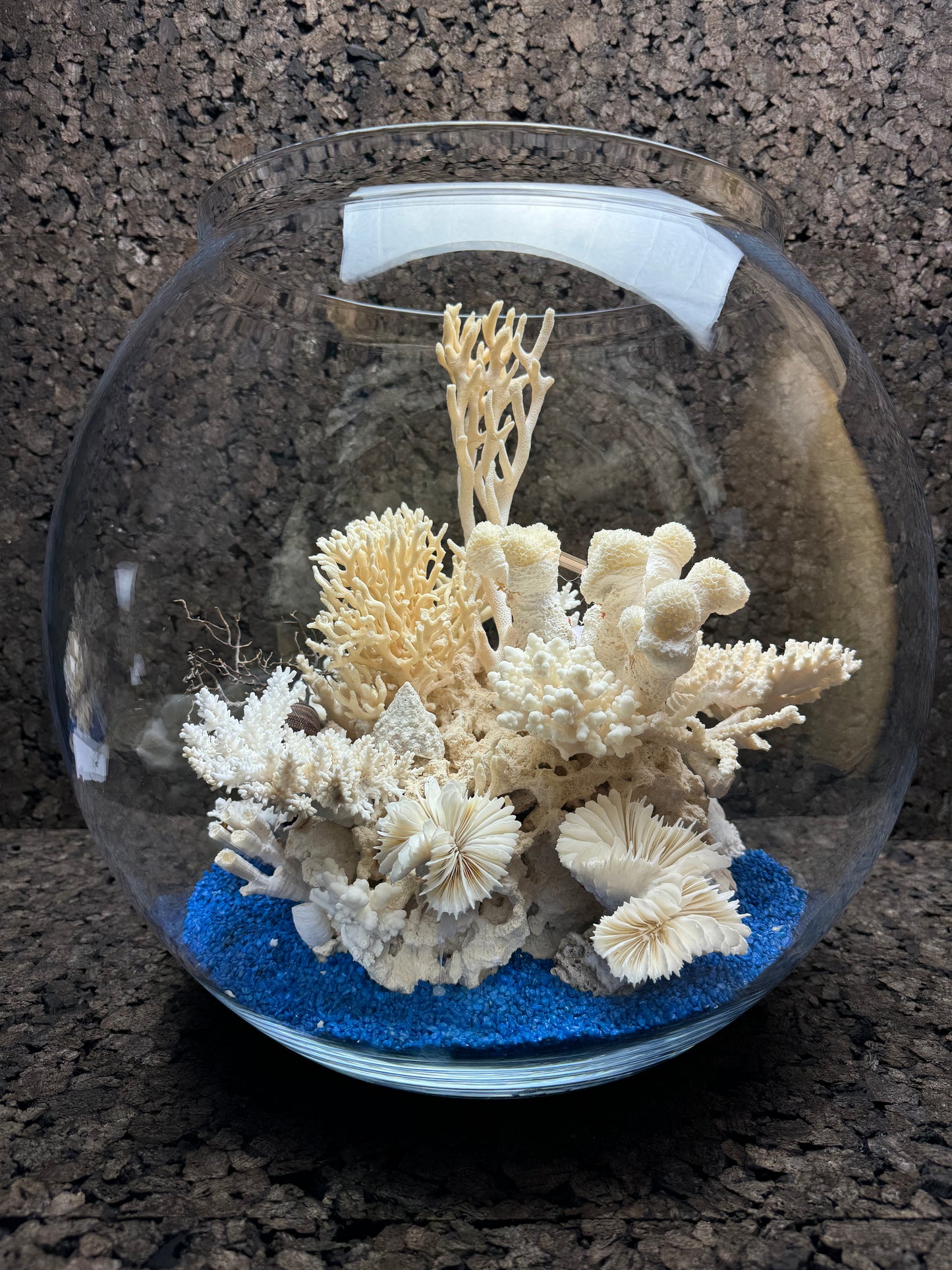 The Coral Bowl of Padeiro