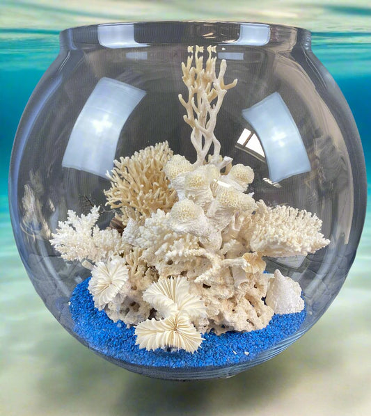 The Coral Bowl of Padeiro