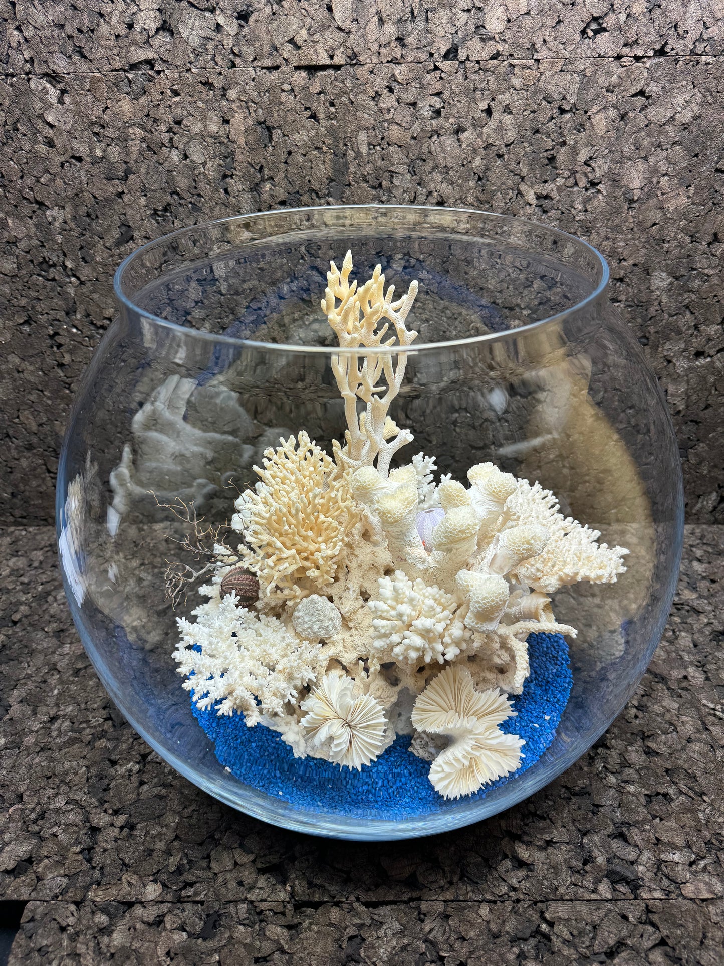 The Coral Bowl of Padeiro