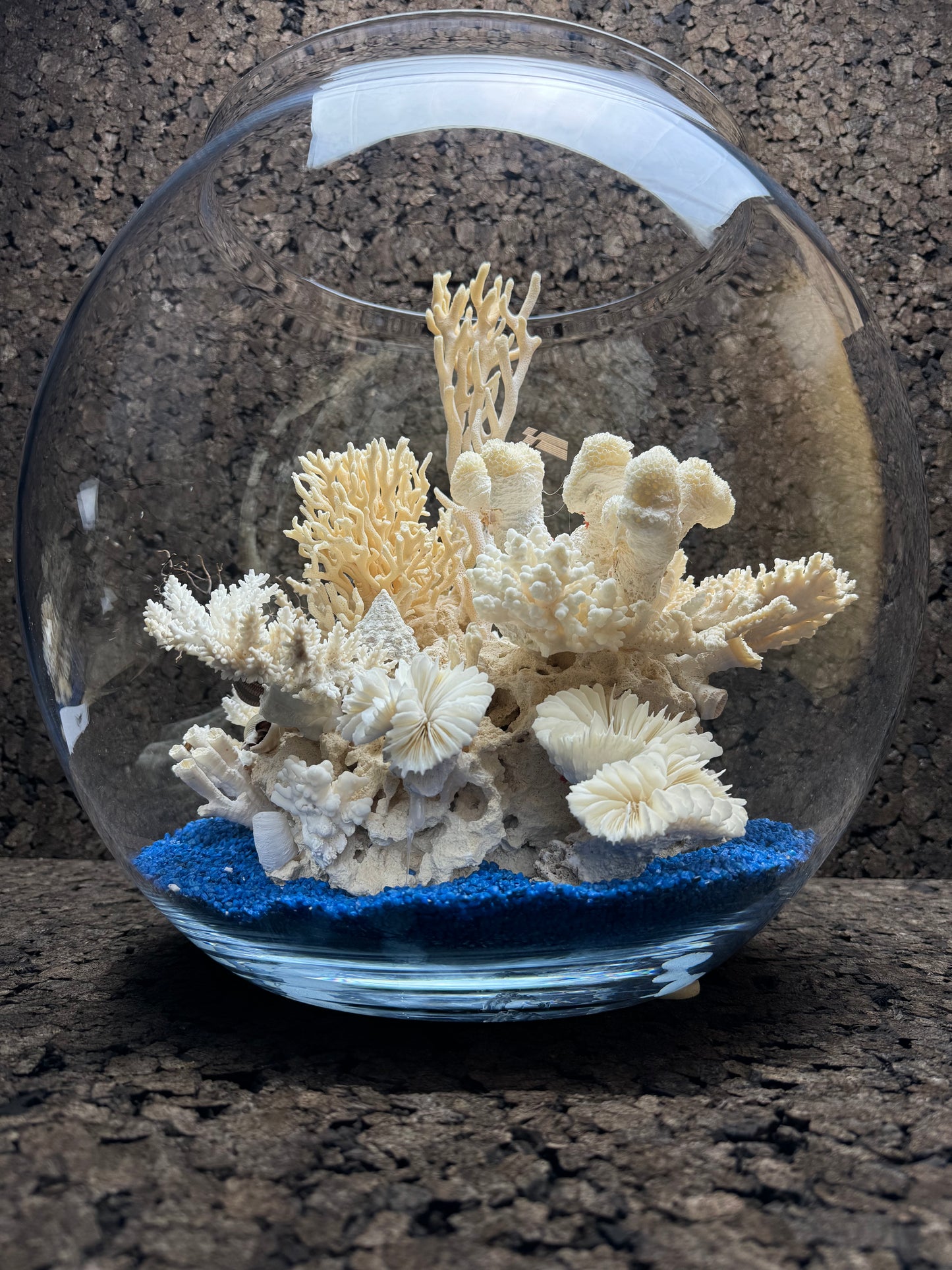 The Coral Bowl of Padeiro