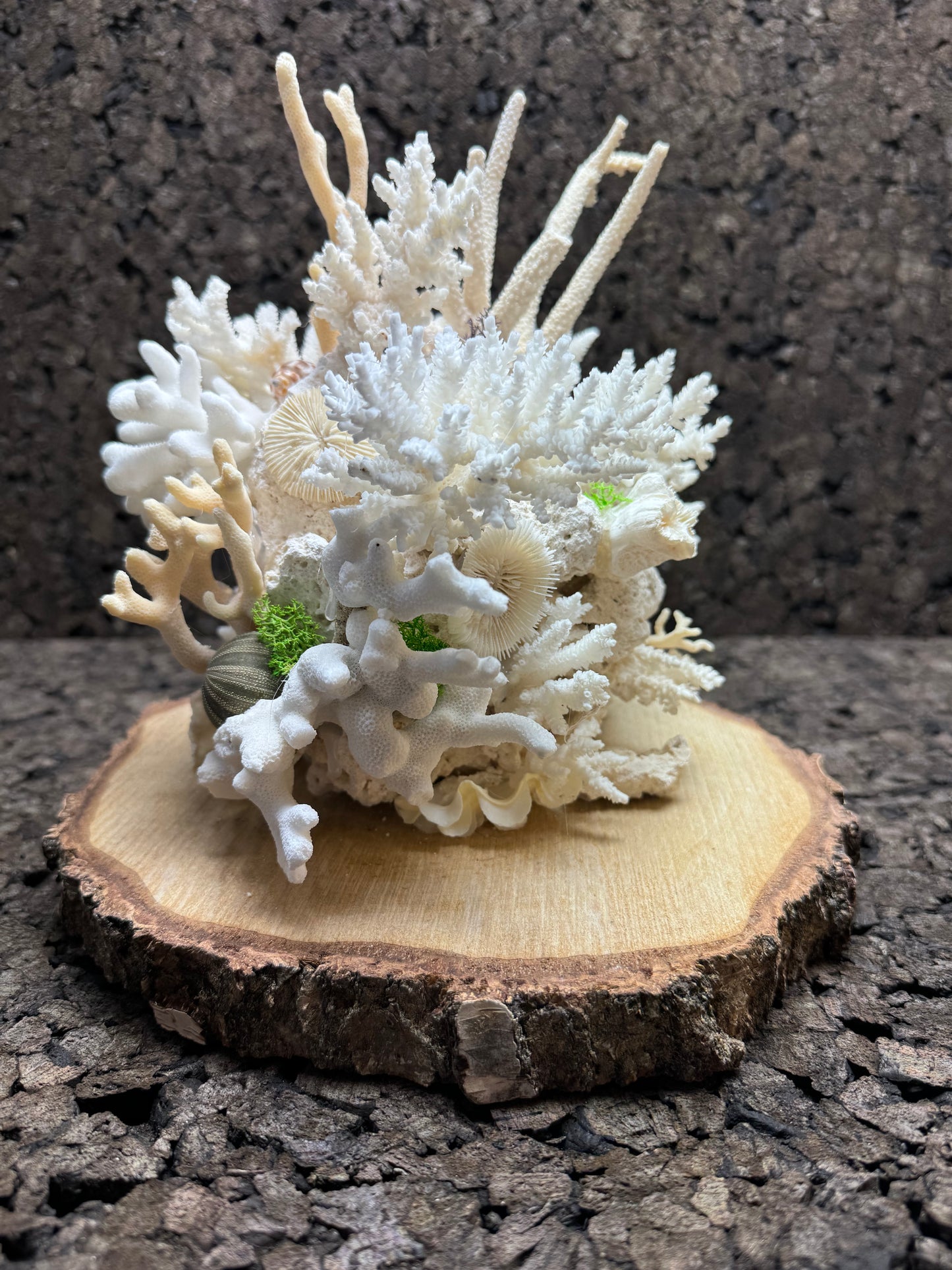 Panadero`s  small reef`s